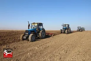 ۴۰۰ هزار هکتار از اراضی استان اردبیل به زیر کشت گندم و جو می&zwnj;رود