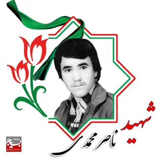 مروری کوتاه بر زندگینامه شهید ناصر محمدی
با خاطراتی از زبان مادر شهید