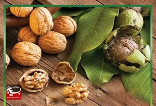 سومین جشنواره گردوی شهر کلور ۲۷ مهرماه برگزار می&zwnj;شود