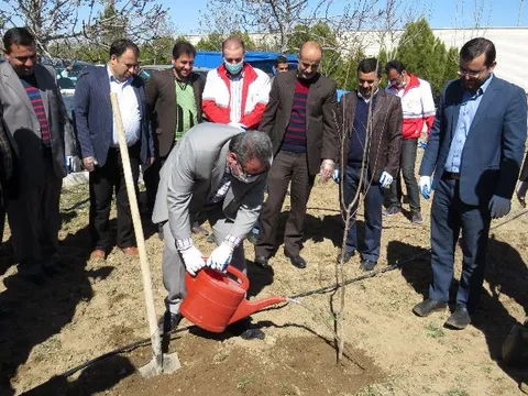 غرس 2500 اصله نهال در شهرفرمهین