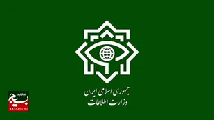 ۳۵ نفر از عوامل پشتیبانی تروریست&zwnj;های انتحاری در حادثه کرمان بازداشت شدند