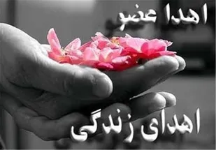 نجات زندگی 3 نفر با اهدای عضو یک مادر اسدآبادی