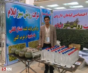 کارآفرین برتر ایلام سطح زیر کشت محصولات گیاهان دارویی را از نیم به ۲۰ هکتار رساند