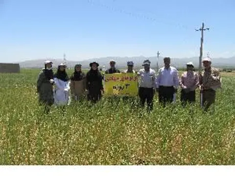 همگام با کشاورزان در اردوی جهادی شهرستان ابهر