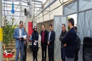 بازدید مدیرکل دفتر گلخانه&zwnj;ها جهاد کشاورزی از گلخانه&zwnj;ها و سورتینگ فلفل کبودراهنگ