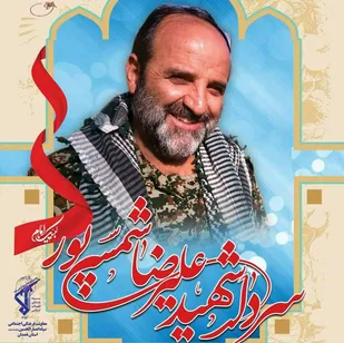 تقدیر خانواده شهید &laquo;شمسی&zwnj;پور&raquo; از حضور مردم همدان در مراسم تشییع