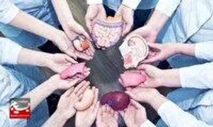 اهدای کبد بیمار مرگ مغزی شده به بیماران نیازمند در بهبهان