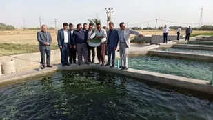 بازدید مسئول بسيج مهندسين صنعت و معدن خوزستان از طرح پرورش ماهی در روستای ویسی گلزرد
