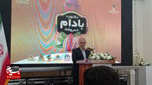 جشنواره بادام در خسروشاه برگزار شد