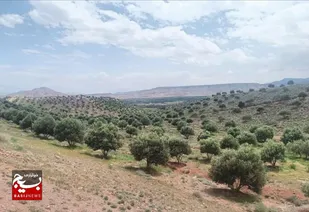 ۱۴ طرح توسعه&zwnj;ای با ۴۶۰ هکتار سطح زیر کشت جدید، نویدبخش آینده&zwnj;ای روشن