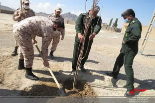 کاشت درخت به مناسبت روز درخت کاری در سپاه خواف