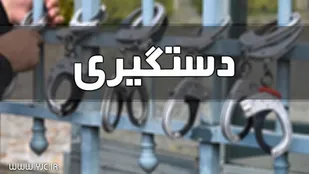 کشف یک دستگاه طلایاب میلیاردی قاچاق در مراغه
