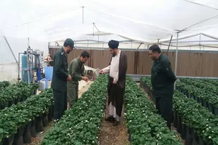 بازدید امام جمعه و فرمانده سپاه ناحیه رزن از طرح&zwnj;های اقتصاد مقاومتی
