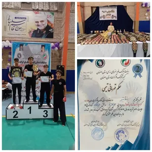 افتخار آفرینی تیم باشگاه شهید ابراهیم هادی حوزه مقاومت بسیج مالک اشتر نطنز در مسابقات استانی کونگ فو