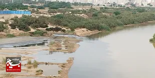 ورود پساب به کارون در وضعیت بحران است/ خشک شدن جراحی با احداث سد مارون ۲