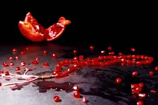در پاي هر قطره خون شهداي انقلاب درختي تنومند رشد خواهد كرد