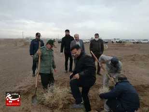 کاشت پنج هزار بوته درخت در شهرستان گناباد