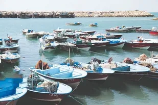 ۳ پروژه ملی صید و بنادر ماهیگیری در خوزستان در دست است