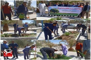 با کاشت یک اصله درخت به سالم سازی محیط کمک کنیم