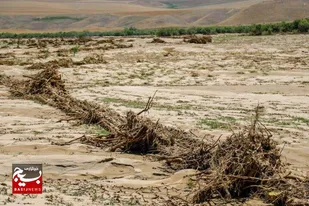 الزامات تغییر اقلیم و خشکسالی در نظام برنامه&zwnj;ریزی رعایت شود