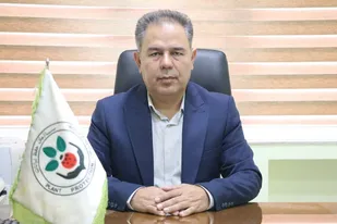 آغاز مبارزه با پوره سن گندم در مزارع گندم و جو استان قزوین