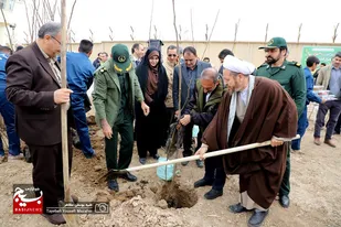 آیین کاشت ۲۰ هزار اصله نهال در همدان
