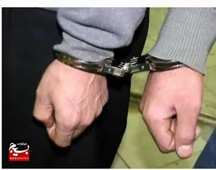چهار مجرم سایبری در پارس آباد دستگیر شدند