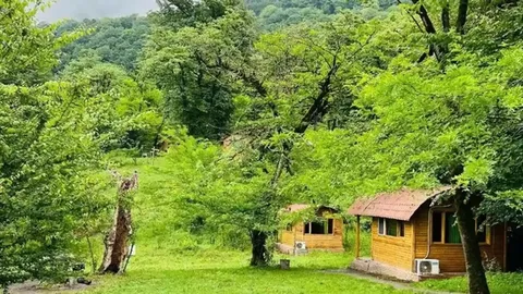 پارک جنگلی ۷۰ هکتاری؛ رؤیای سبز اردبیل