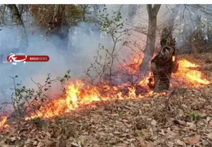 آتش به جان جنگل "رنگو" افتاد/ فراخوان گروه&zwnj;های جهادی از سوی فرمانده سپاه گرگان برای اطفای حریق