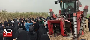 اردوی آموزشی راهیان پیشرفت