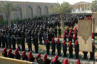 از اشرف تا لیبرتی شکار خفاش ها!!!