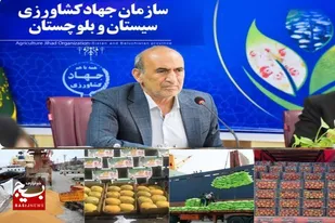 مبادلات مرزی محصولات کشاورزی از سیستان و بلوچستان به ۱/۵ میلیون تن رسید