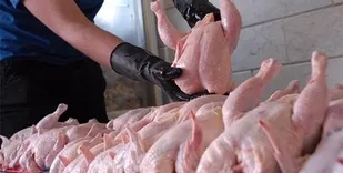 وزارت صمت پای کار مبارزه با دلالان مرغ و گوشت نیست