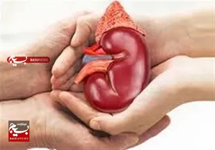 پرداخت ۸۳۰ میلیون تومان پاداش اهدای کلیه در اردبیل