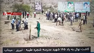 کاشت ۲۰۰ نخل در شهر تیرور میناب