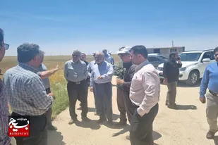 برگزاری تور یک روزه کنترل کیفی گندم در کبودراهنگ