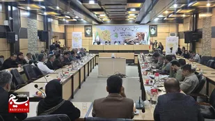 واکنش سریع مسئولان استان سمنان به تهدید جاده&zwnj;ها برای یوزپلنگ آسیایی