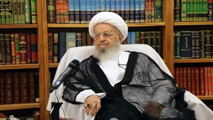 نظر آیت الله مکارم شیرازی درباره سگ گردانی در معابر