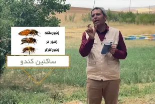 فیلم&zwnj;های آموزشی(  صفر تا صد یک شغل)  برای کارآفرینان مناطق محروم ساخته می شود