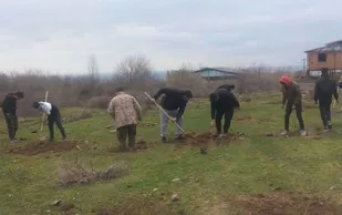 کاشت نهال توسط گروههای جهادی بسیج سازندگی سپاه کردکوی