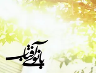 ارسال ۱۰۰ مقاله به دبیرخانه کنگره منطقه&lrm;ای "بانوی آفتاب"