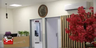 نخستین مرکز درمان ناباروری دولتی در دشتستان افتتاح می&zwnj;شود