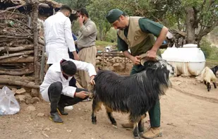 اعزام دانشجویان جهادگر دامپزشکی به مناطق محروم استان