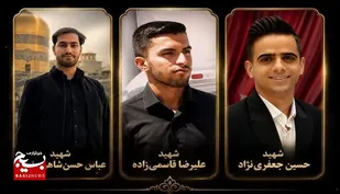رفسنجان گداخته در خون شهداست