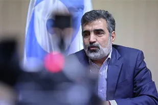اعتراف سخنگوی سازمان انرژی اتمی: اسناد محرمانه از آژانس بین المللی به بیرون درز می&zwnj;کند