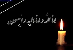 تسلیت جمعی از علمای فارس در پی درگذشت آیت&zwnj;الله محجوب&zwnj;جهرمی