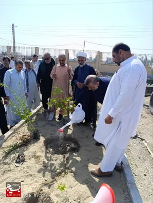 آیین کاشت نهال در ایرانشهر