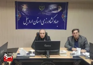 اردبیل 60 رشته فعال صنایع دستی دارد