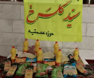 کمک&zwnj;های بسیجیان در هفته بسیج به نیازمندان محله
