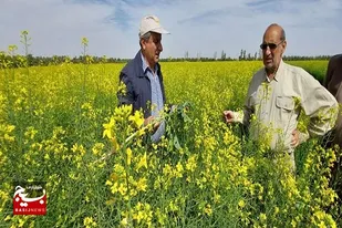 تغییر الگوی کشت اقدامی موثر در مدیریت منابع آبی